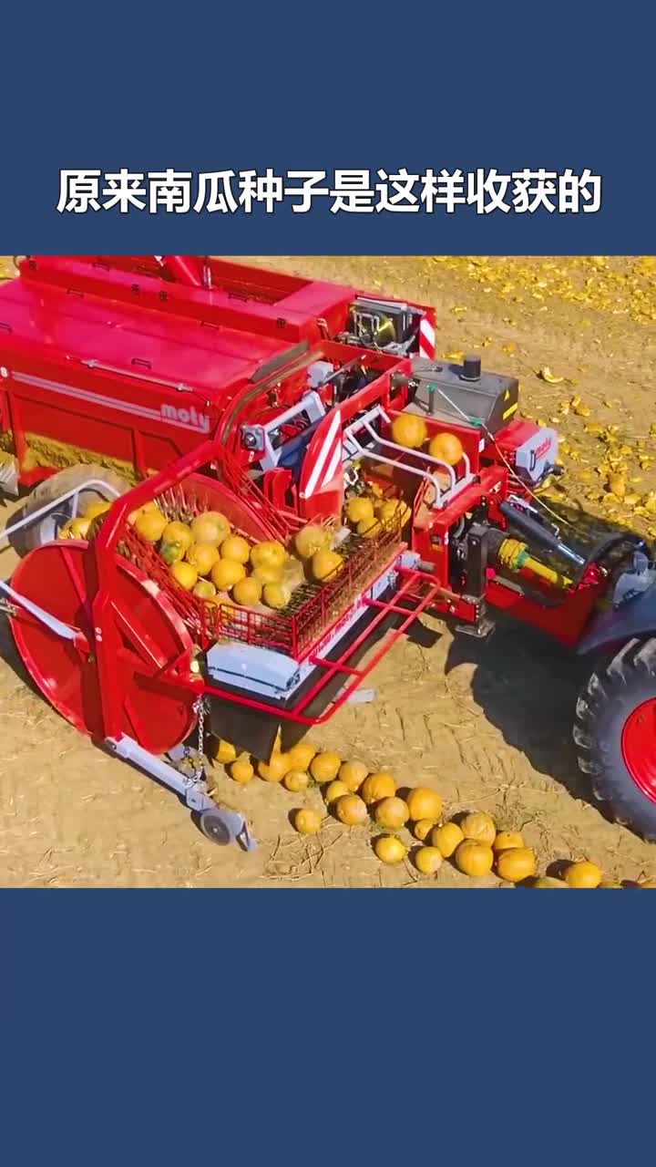 如何机械化收获南瓜种子