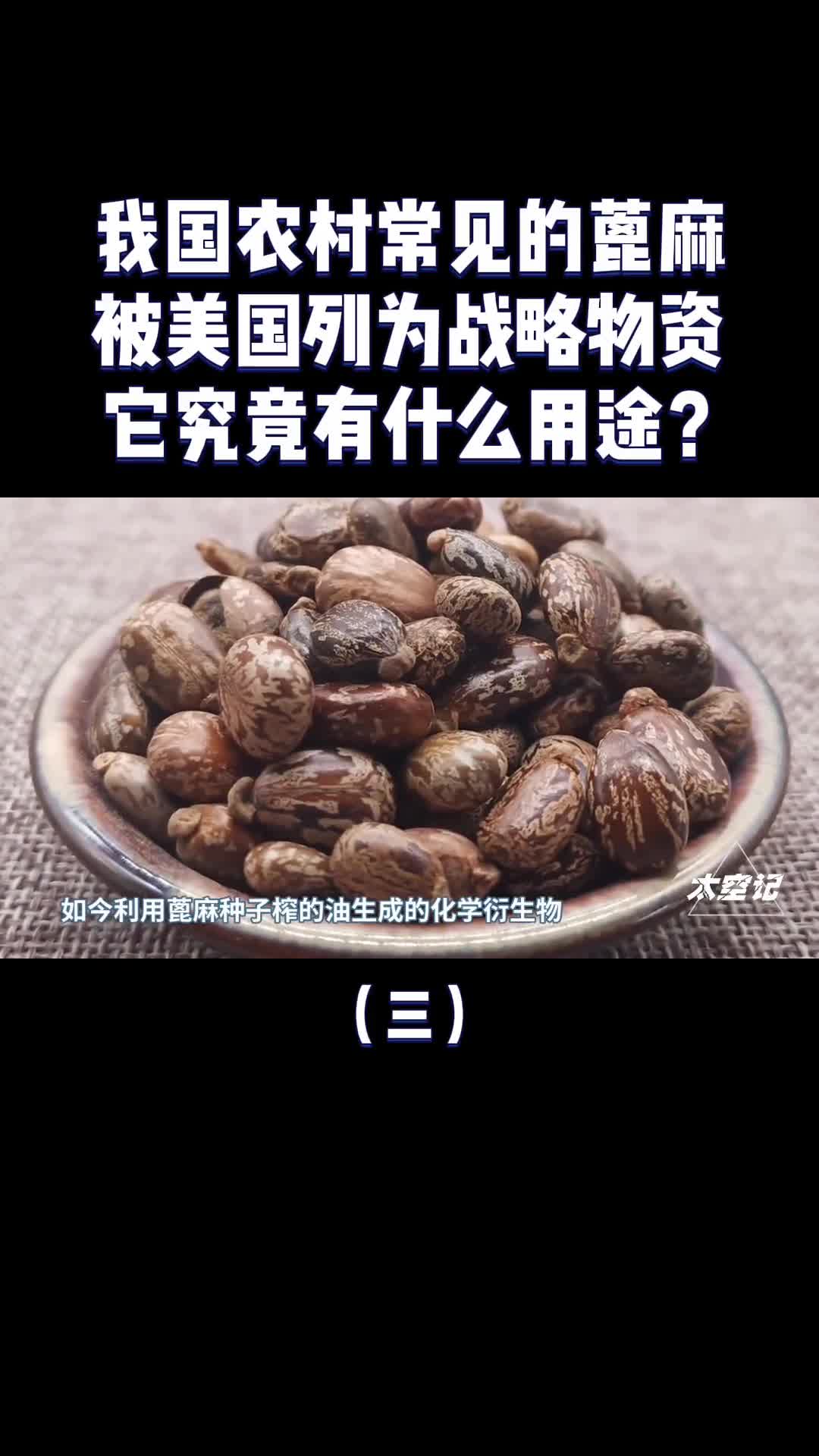 我国农村常见的蓖麻为什么被美国列为战略物资有啥用途