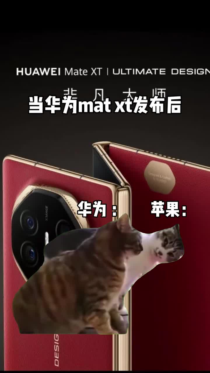 当华为MateXT发布后
