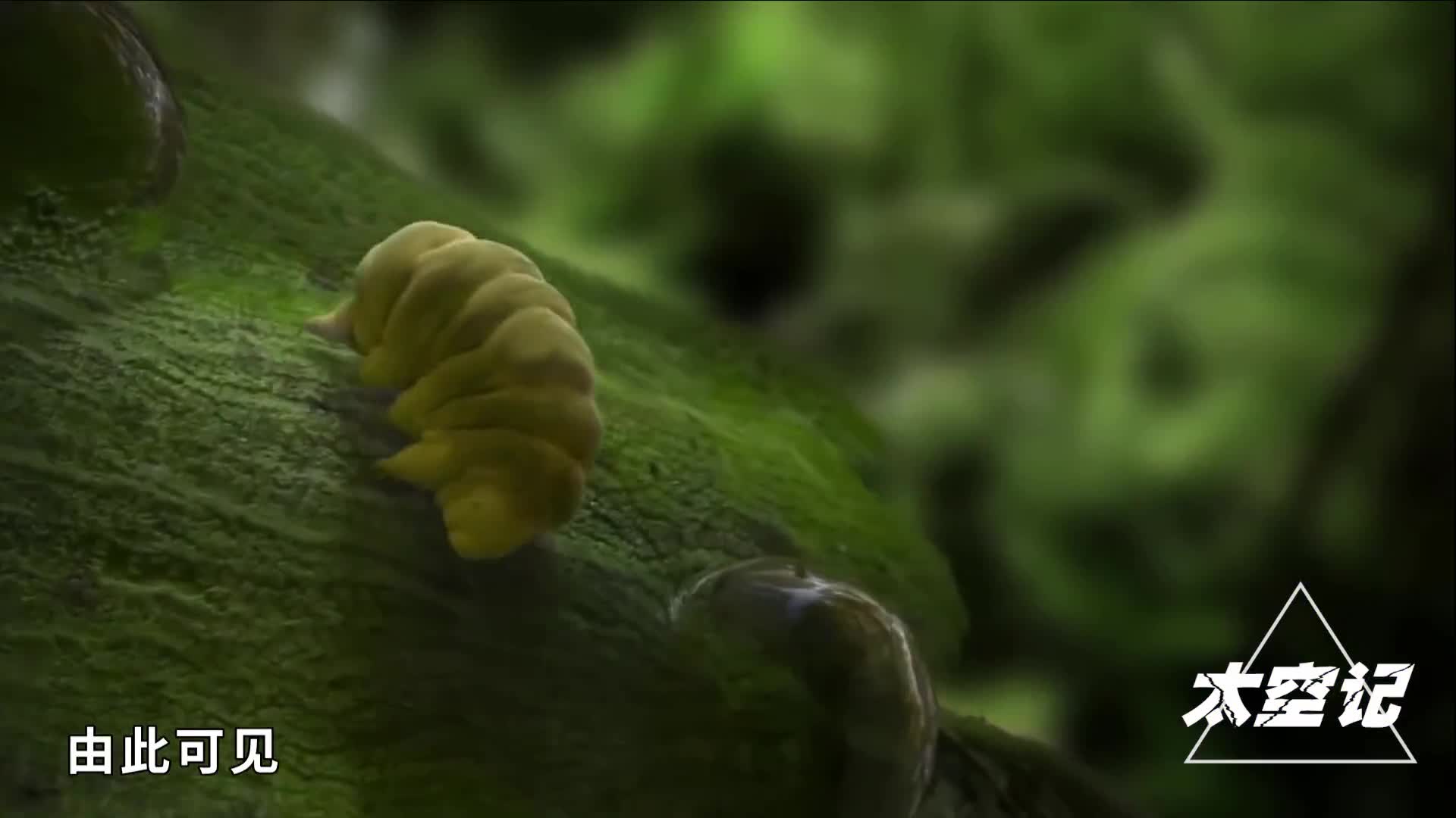 宇宙之大无奇不有你是否真的了解宇宙地球还有自己