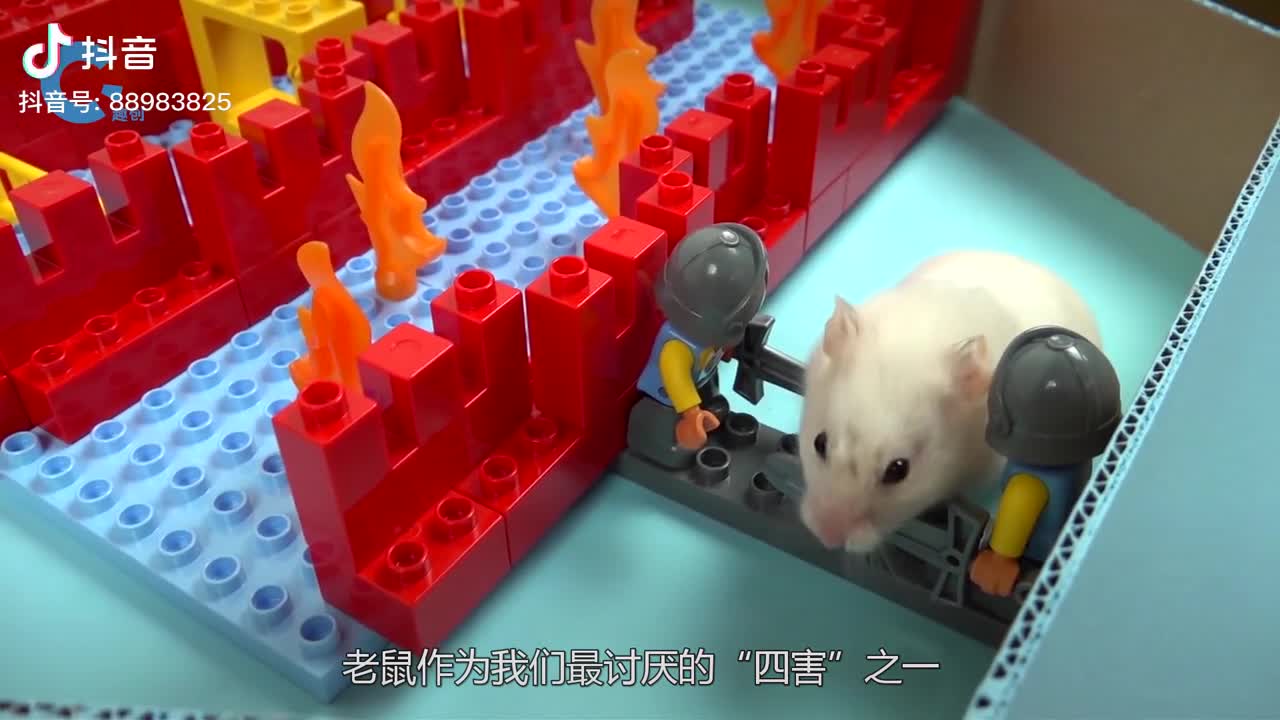 黑科技灭鼠神器仅需一个脑瓜崩轻松拿下老鼠