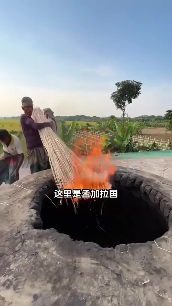 孟加拉国燃烧黄麻杆这是要做什么