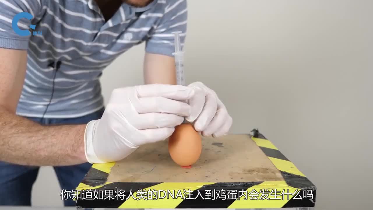 在鸡蛋中注入人类DNA会怎样牛人亲测10天后竟出现一个怪物