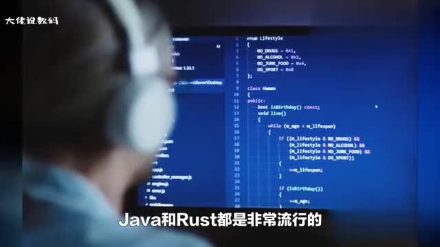 对比JavaRust有什么优势和劣势