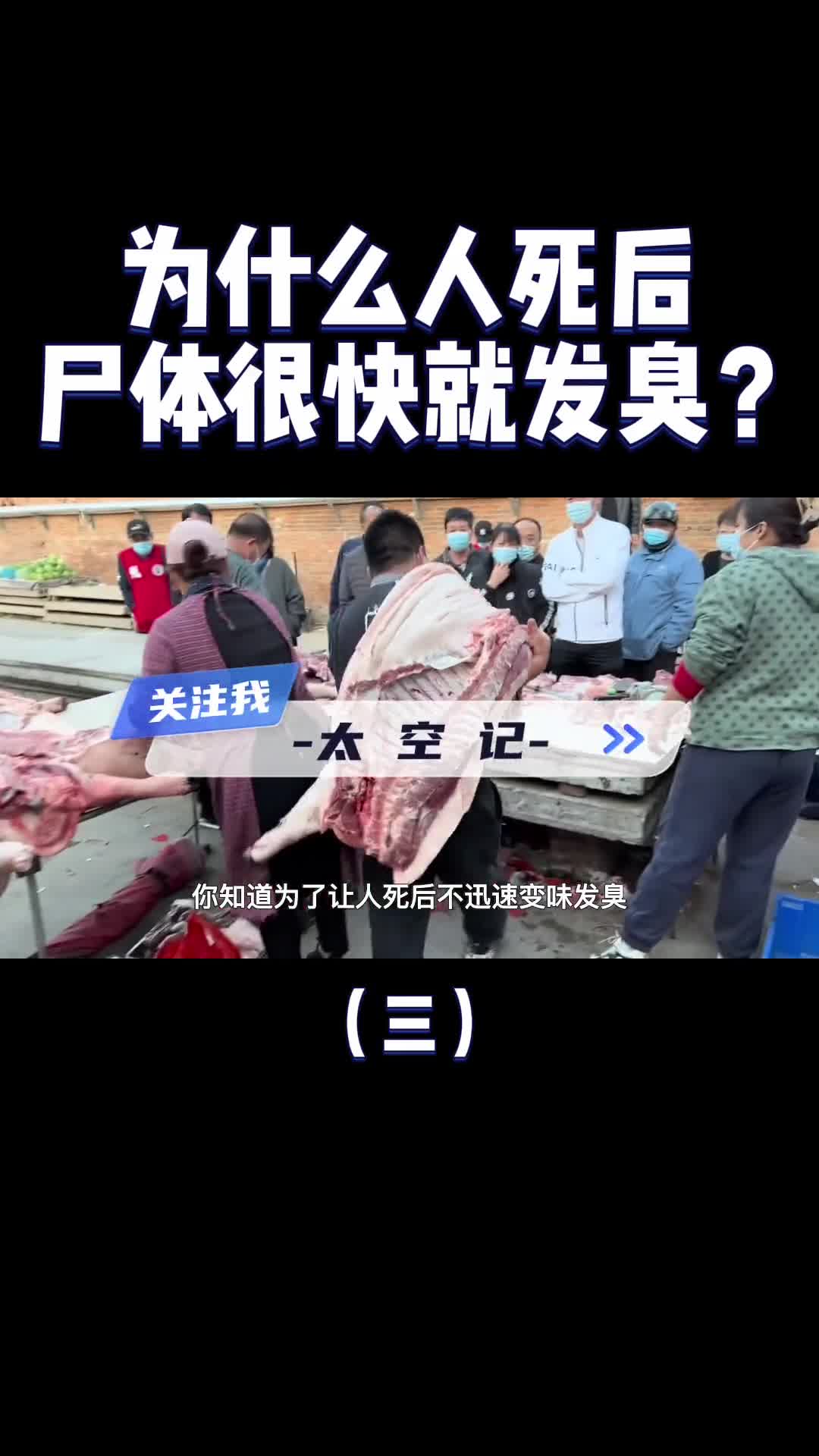 为什么人死后很快就发臭而猪肉羊肉就不会那么快看完涨知识了
