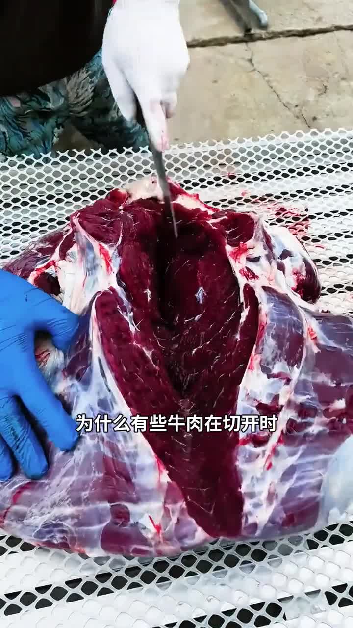 为什么有些牛肉在切开时会突然出现高频抽搐的现象