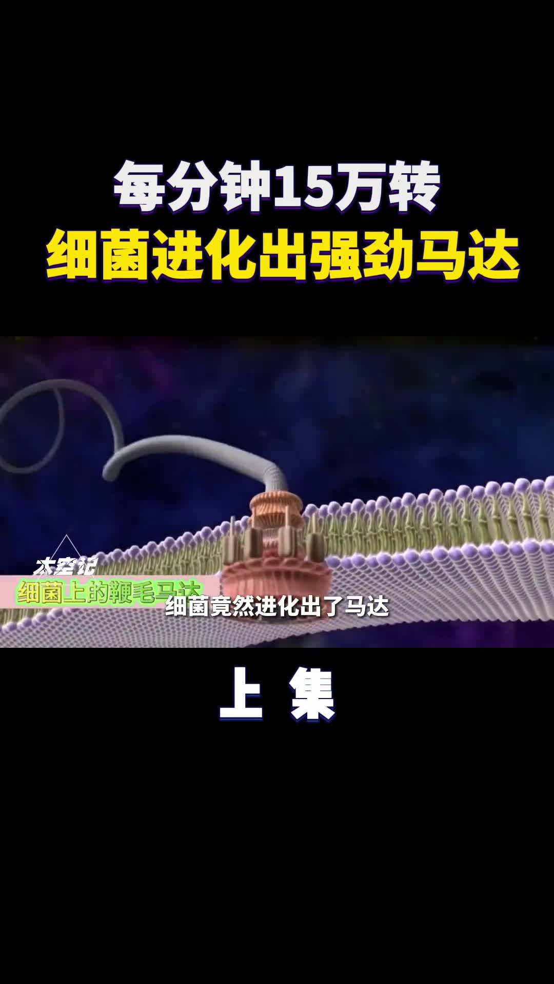 细菌进化出强劲马达每分钟15万转还是磁悬浮轴承的