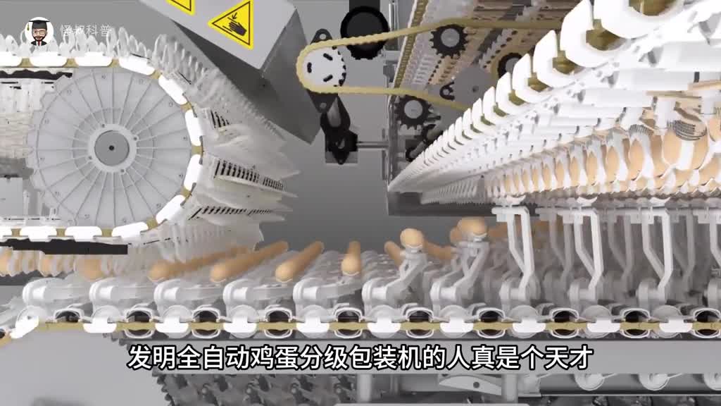 全自动鸡蛋分级包装机工作原理