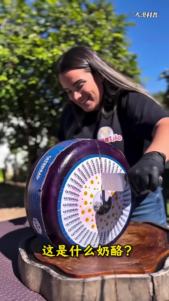 大漠带你了解10种特色奶酪好吃的不止一点点