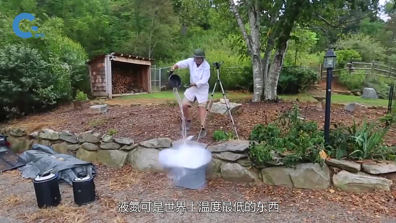 零下196度的液氮威力有多大看这条鱼下场你就知道了