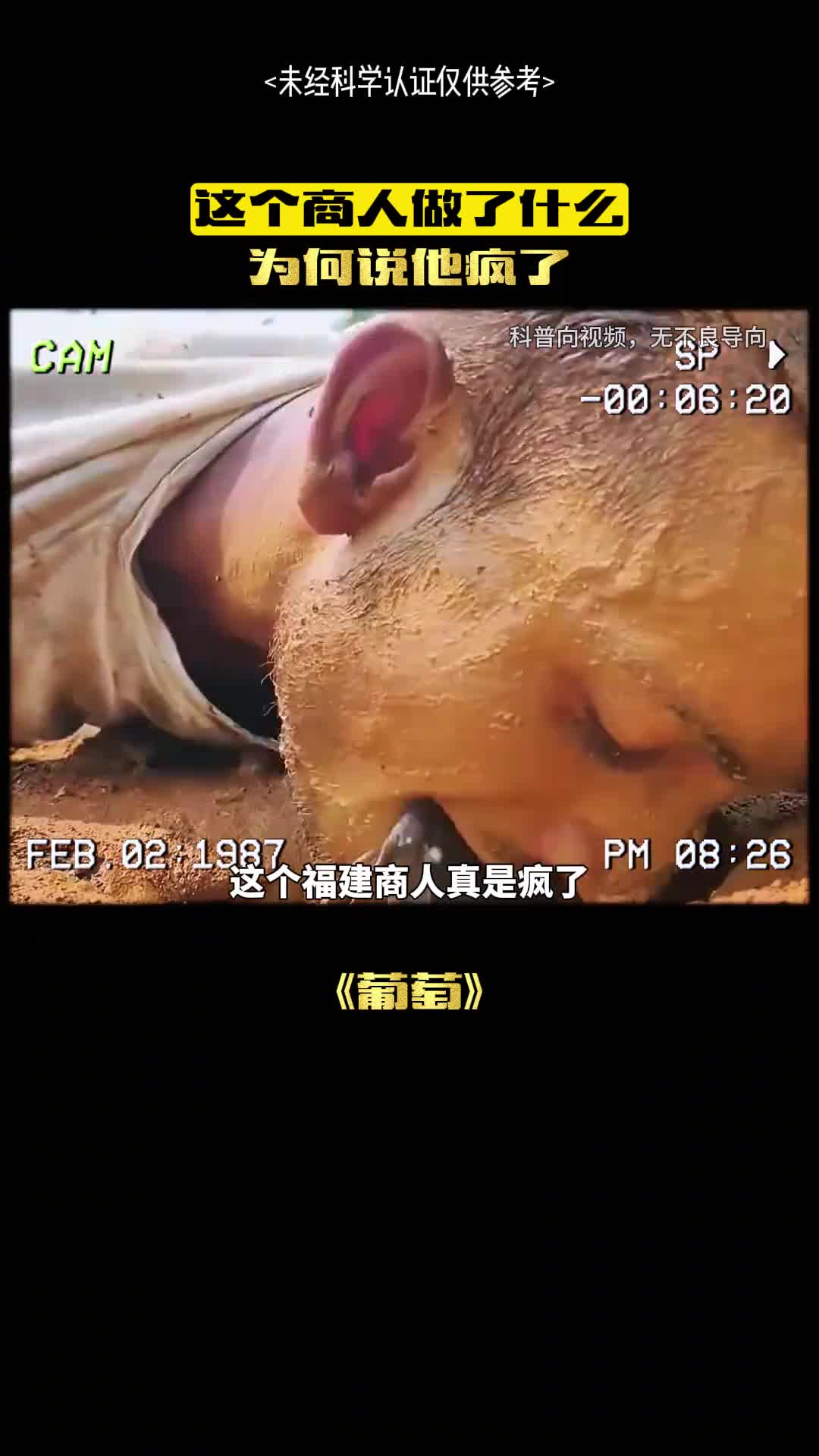 为国而骄傲支持国货从我做起