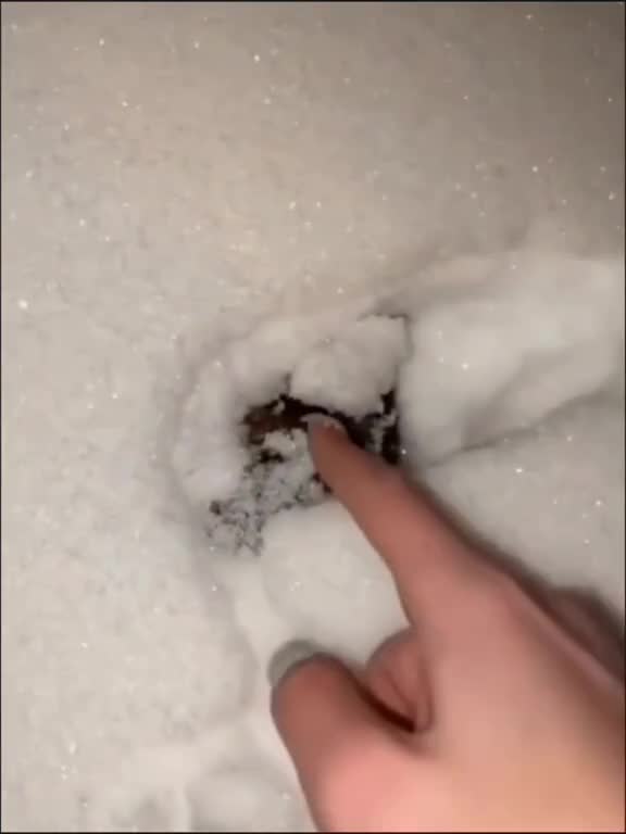 盘点2024上半年各家旗舰手机