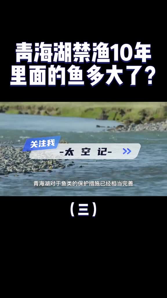 最大咸水湖青海湖一年出鱼5000万斤禁渔10年最大的鱼有多大