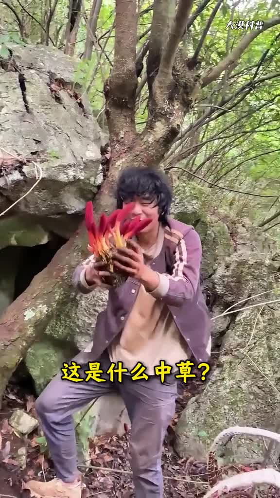 大漠带你一次性认识23种中草的模样你见过几种