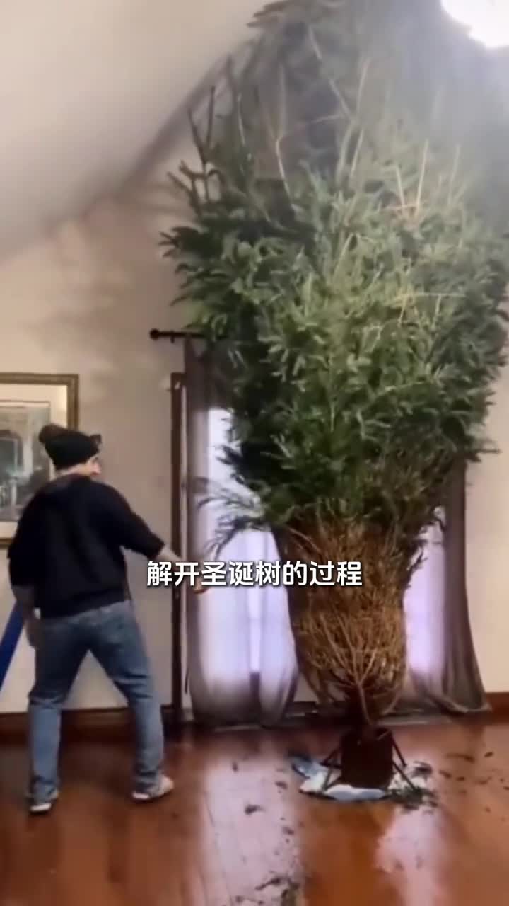 圣诞树还会爆炸太惊讶了