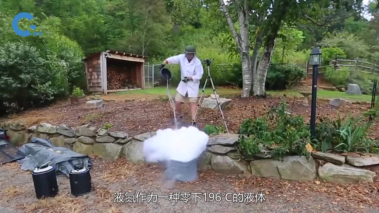 将头发放进196液氮中会怎样小姐姐亲测看完忍不住笑了