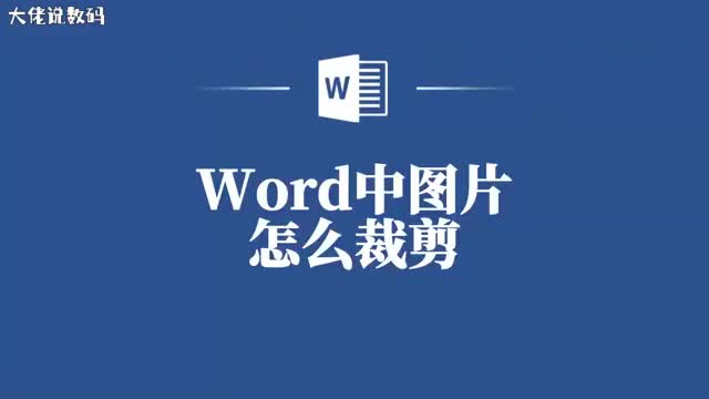秒懂教你如何在Word中轻松裁剪图片