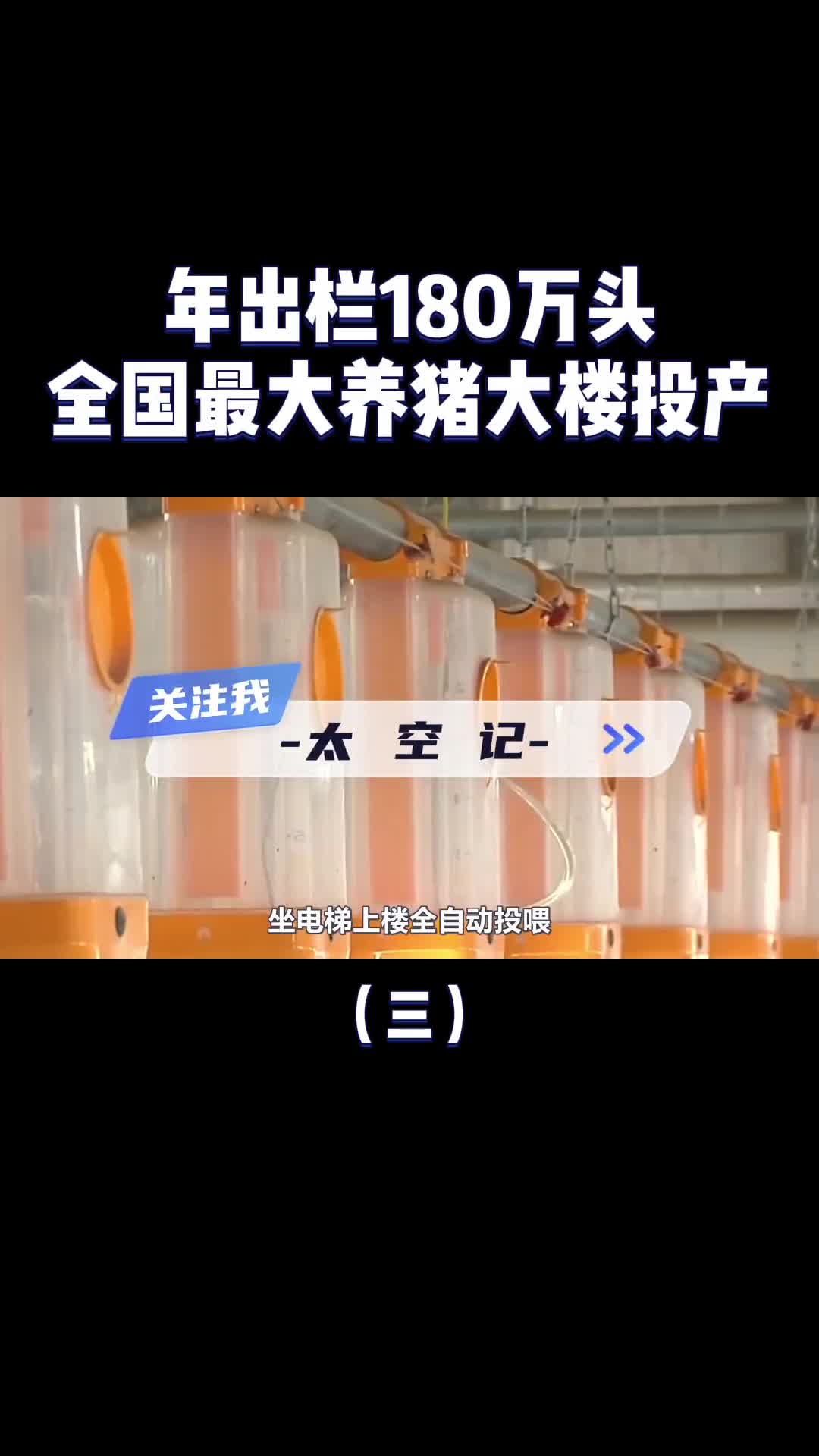 年出栏180万头26层楼高中国最大养猪大楼投产