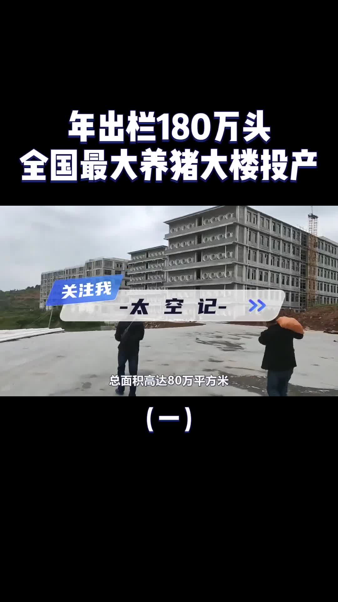 年出栏180万头26层楼高中国最大养猪大楼投产