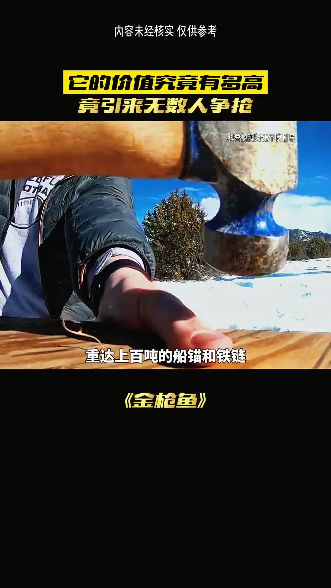 价值百万的金枪鱼是如何捕抓的