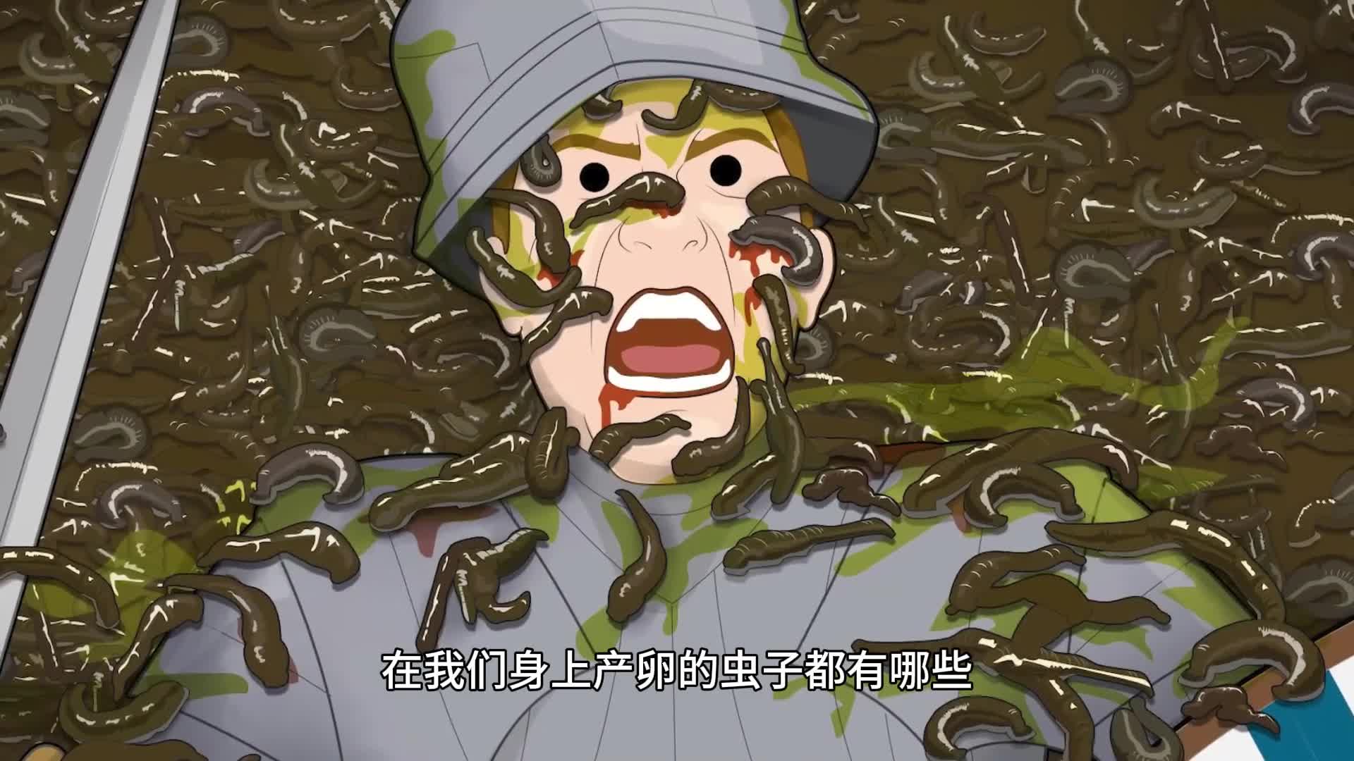 在我们身上产卵的虫子都有哪些