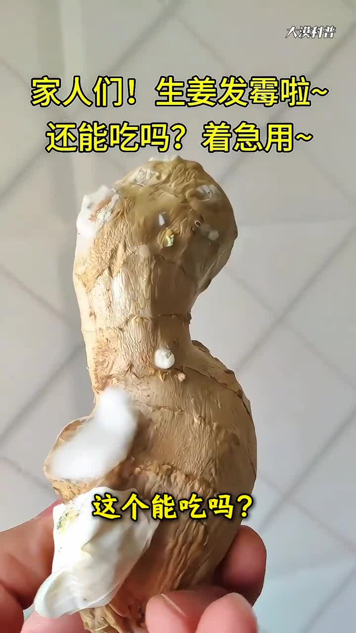 这十种食物生活中经常遇到的有毒食材千万不要随便吃