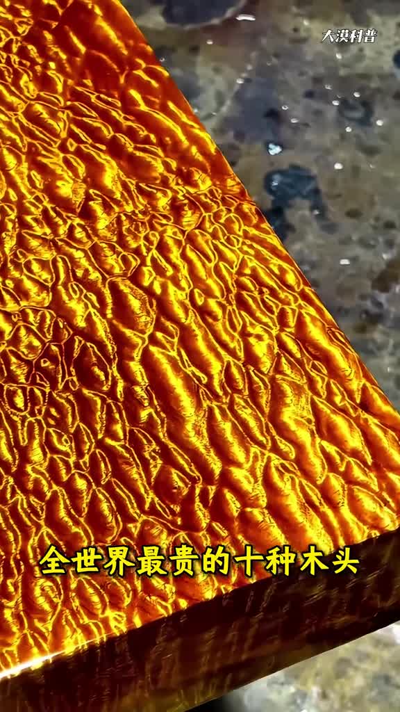 这些木头竟如此昂贵大漠带你认识全世界最贵的十种木头