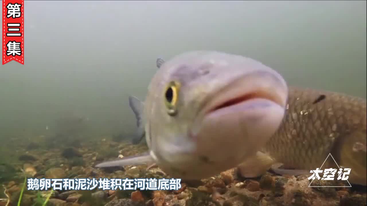 截流二十几年堆积18亿吨泥沙三峡库区为何不把泥沙抽走