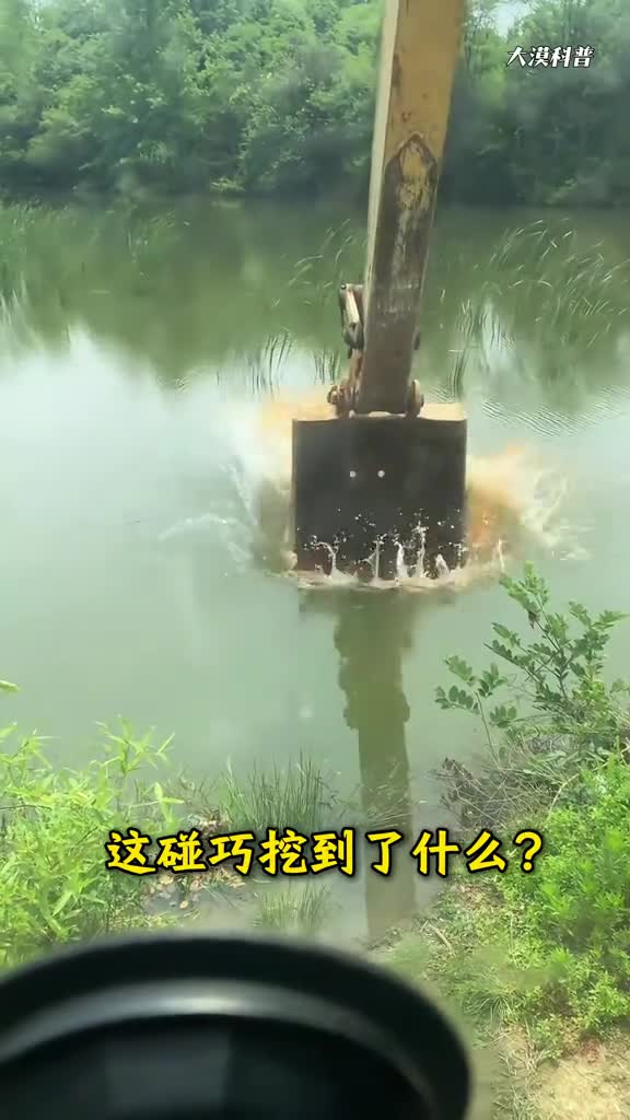 这碰巧挖到了什么