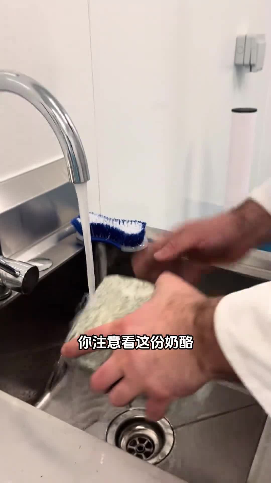 为什么要清洗发霉的奶酪