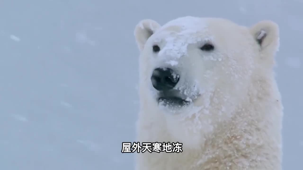 地暖杀精又致癌它的辐射究竟有多大央视一个试验告诉你答案