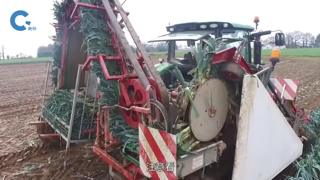 国外发明全自动拔葱机可实现拔葱去叶一体化
