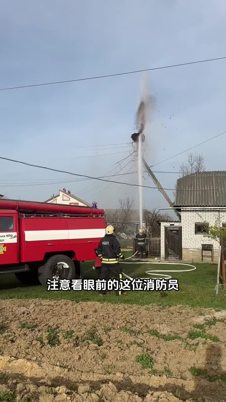 消防员摧毁鸟巢结局却令人难以置信