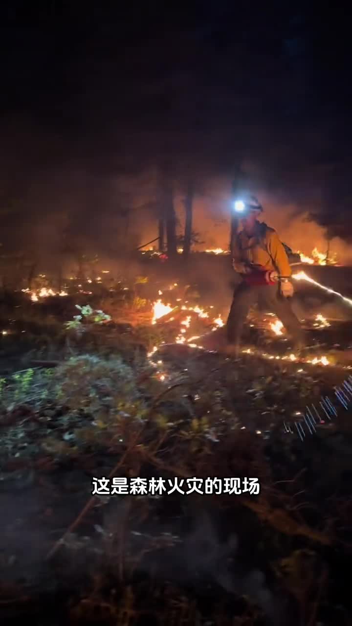 森林发生大火灾为什么还要火上加火呢