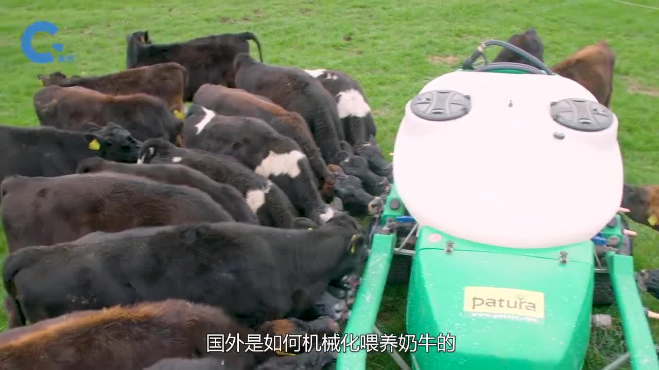 国外发明科学喂奶车一次性就能喂养30头小牛