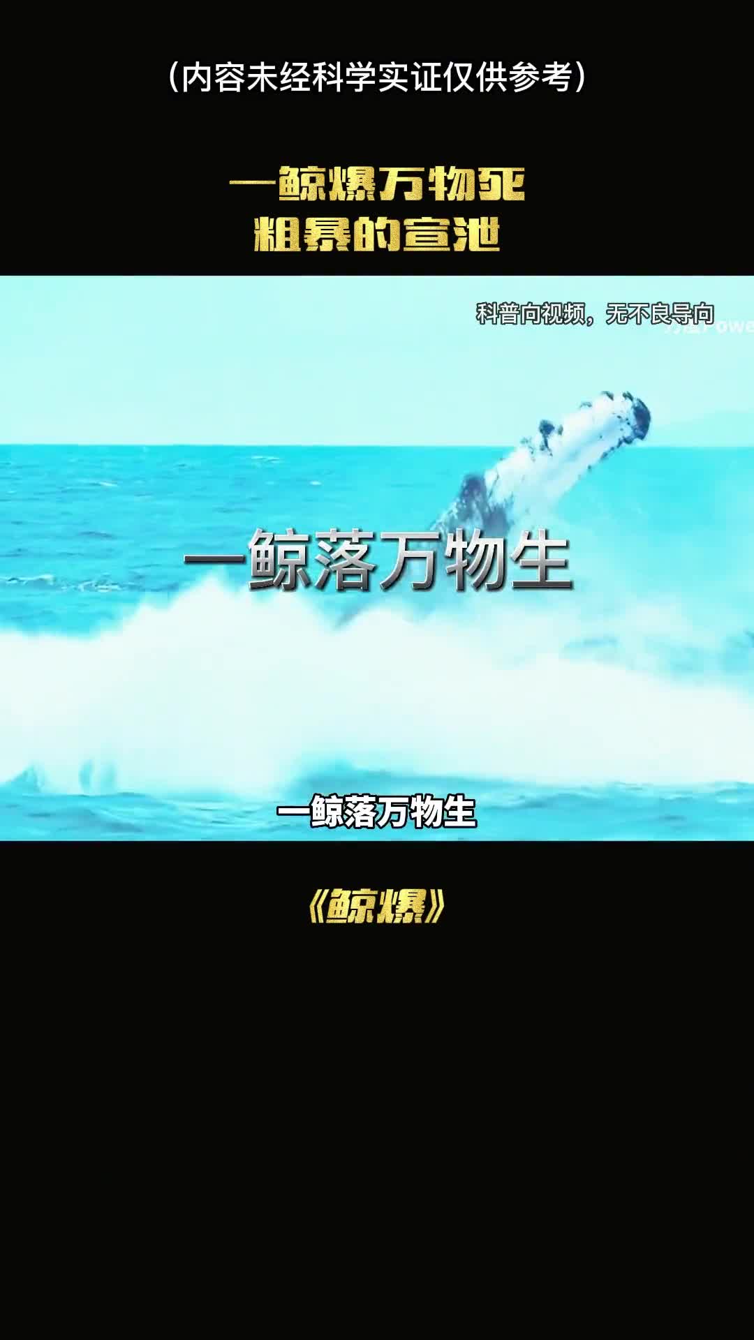 一鲸落万物一鲸爆万物S