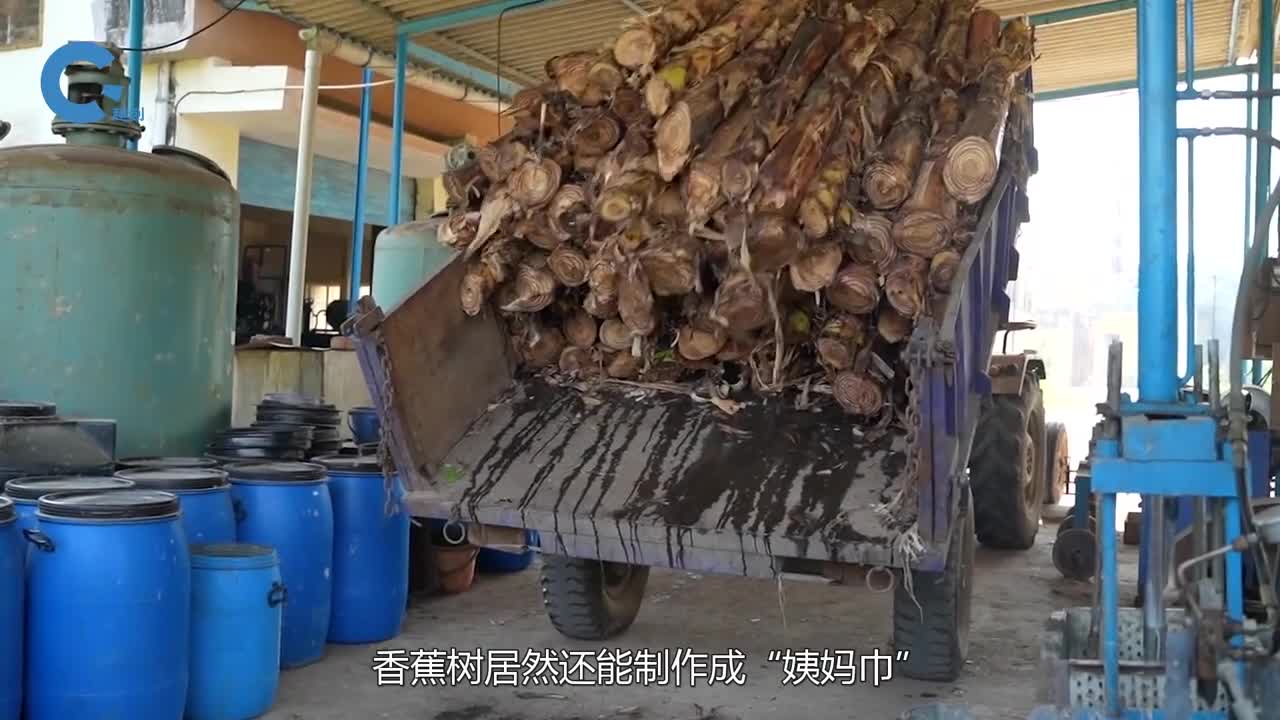 印度大叔发明新型机械能把香蕉树做成卫生巾这是什么原理