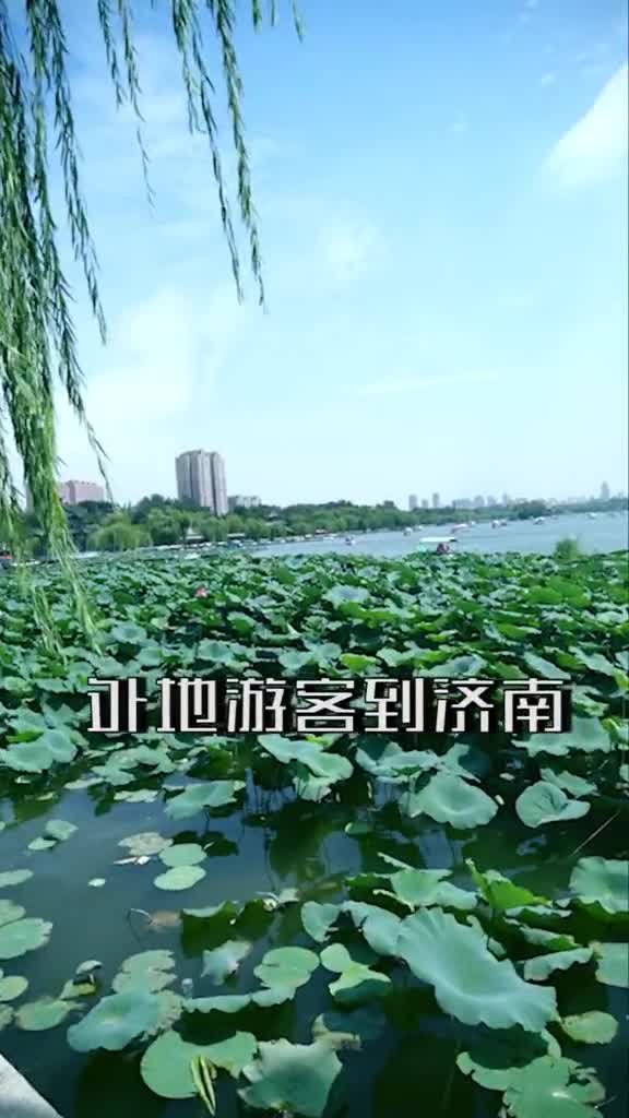 四面荷花三面柳一城山色半城湖来听听济南老师儿是怎么解释的