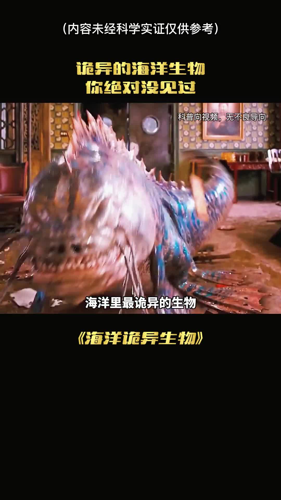 海洋里最诡异生物你绝对没见过