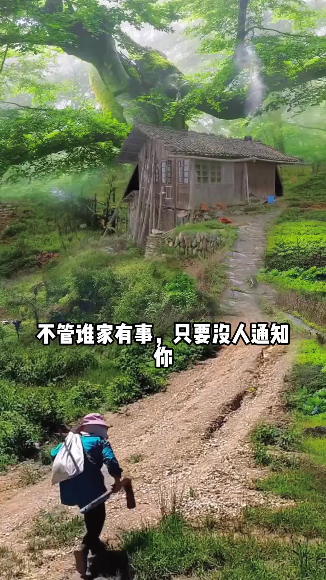 人一旦看过阳谋这本书人生就像开挂一样