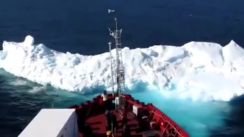 这样的南极磷虾酱你吃过吗