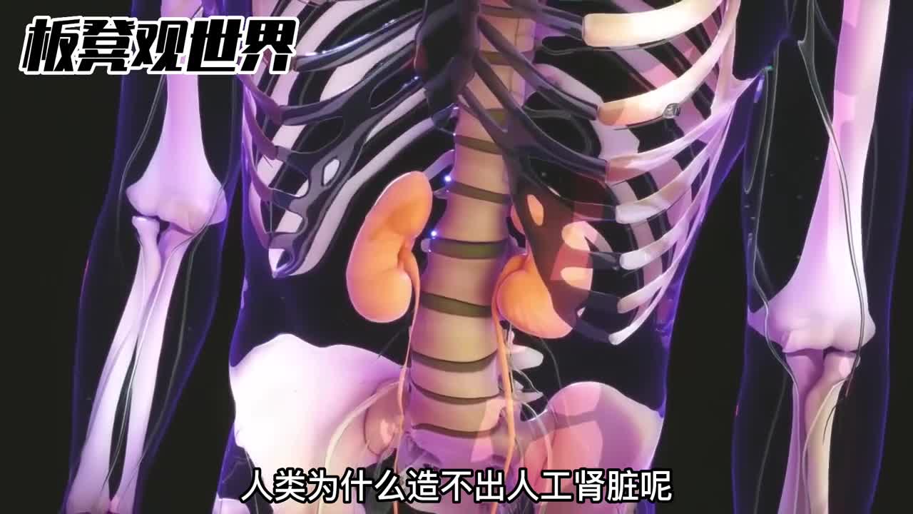 为什么造不出人工肾脏呢有多难