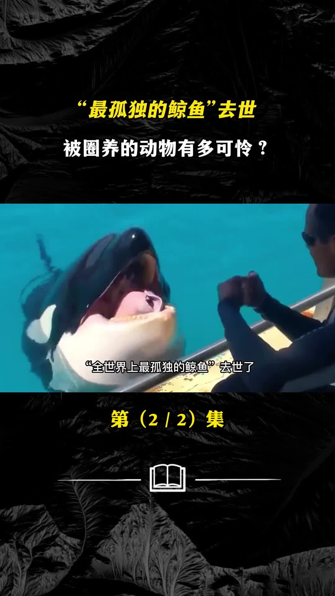 最孤独的鲸鱼去世被圈养的动物有多可怜