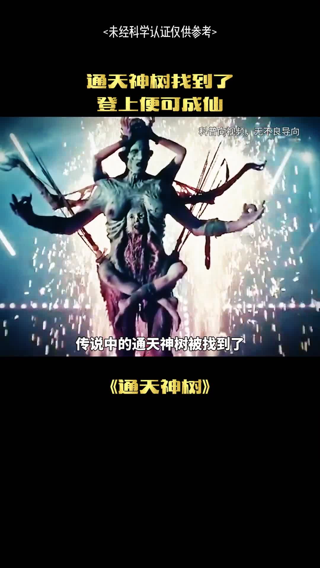 通天神树被找到了吗