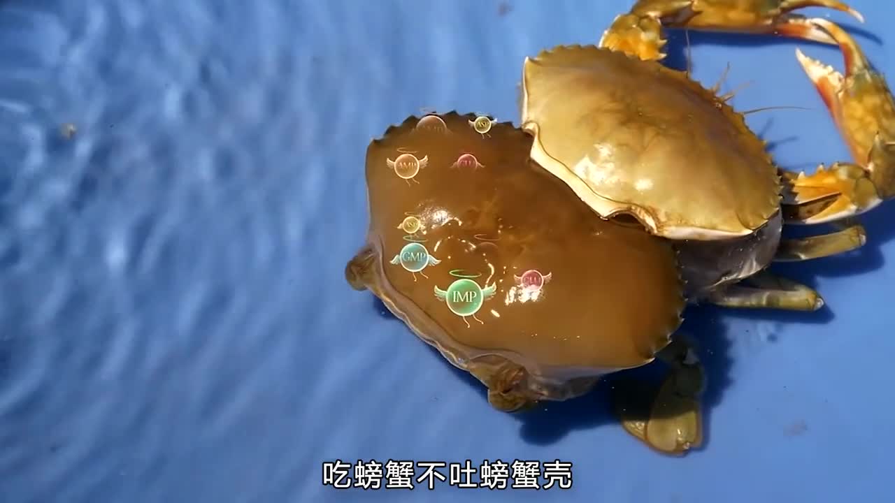 吃螃蟹不吐螃蟹壳