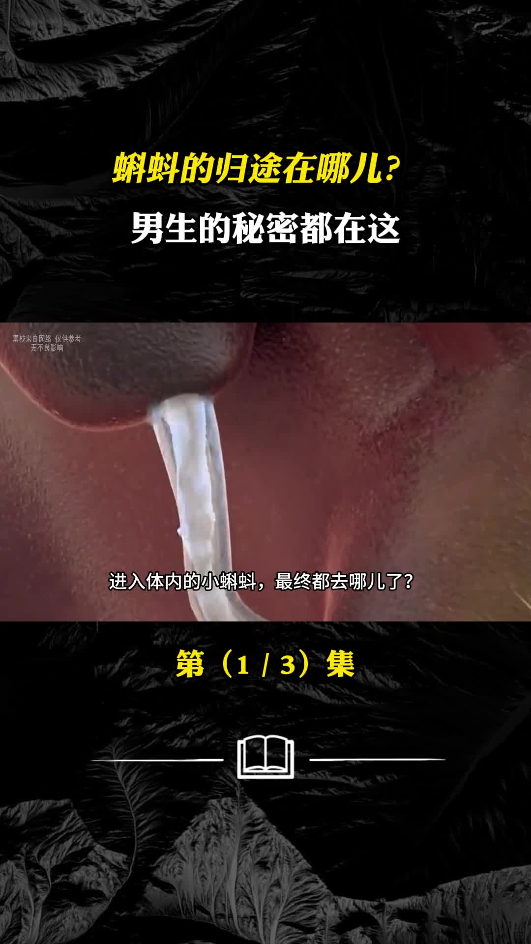 没和卵子相遇的小蝌蚪最终都去哪儿了