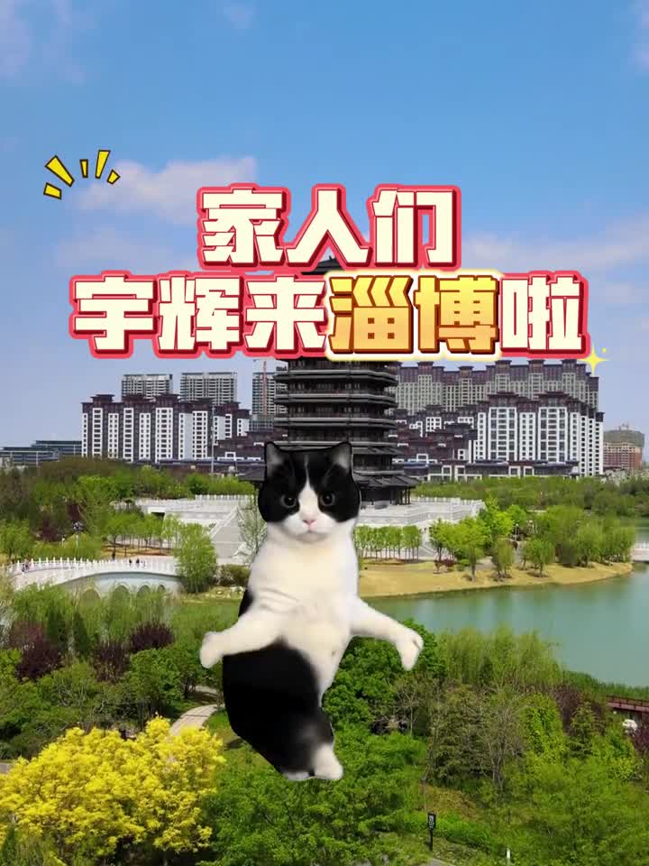 家人们宇辉来淄博啦接着奏乐接着舞