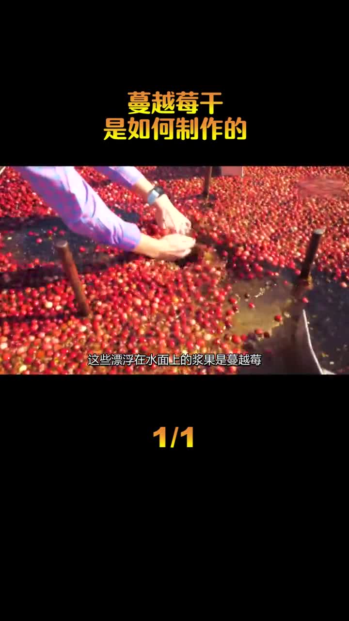 蔓越莓干是如何生产的