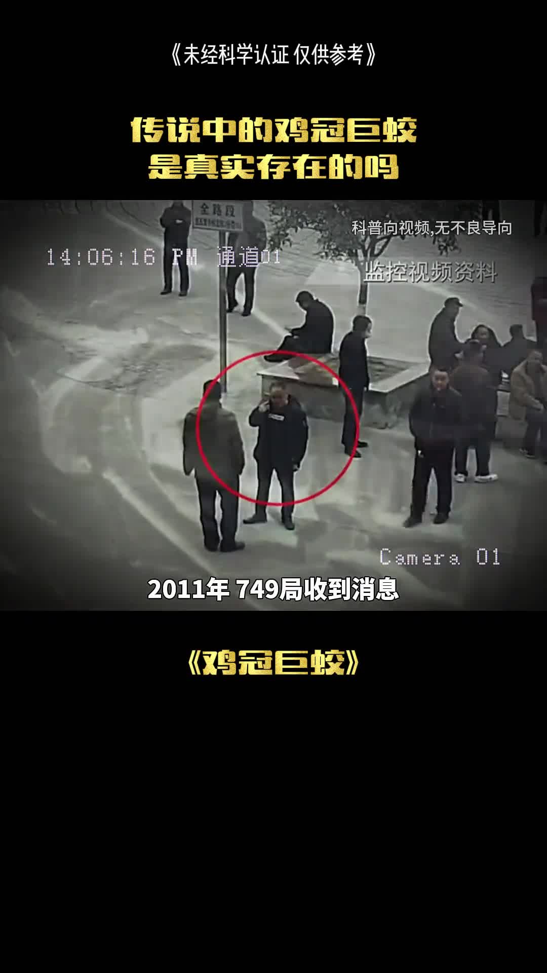 这种社生物真的存在吗