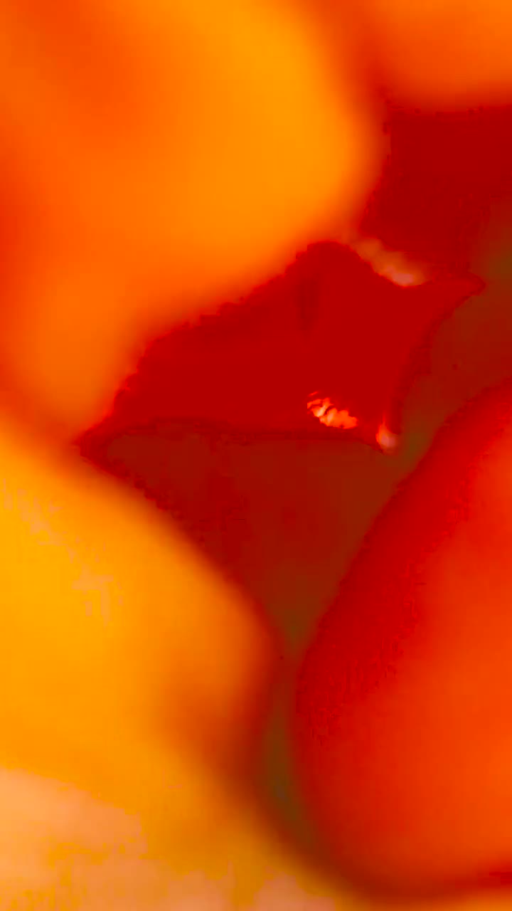 如果花瓣掉落的速度是每秒5厘米那么两颗心需要多久才能靠近